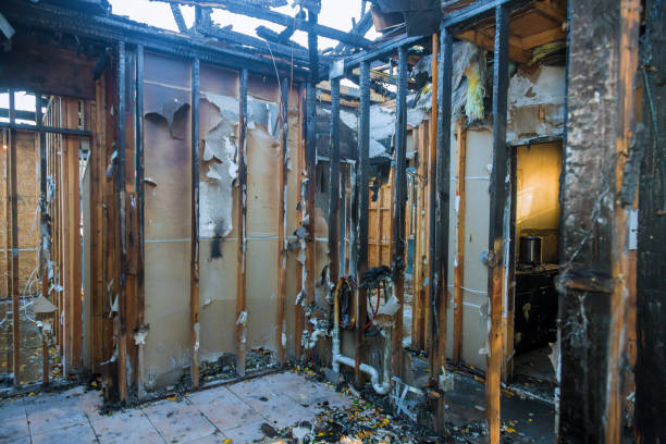 Professional Smoke Damage Removal technician working in Topanga, CA